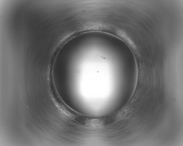 X0000069360058200605150927