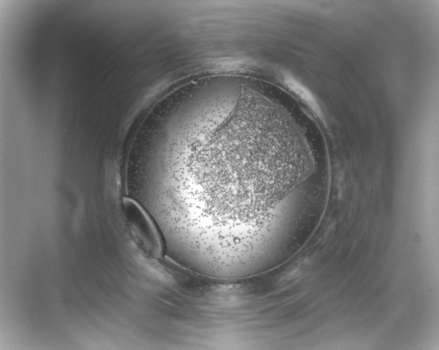 X0000069360059200605150927