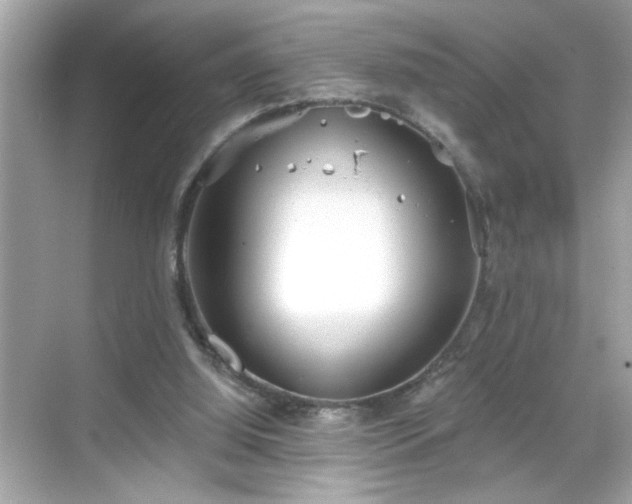 X0000069360060200605150927