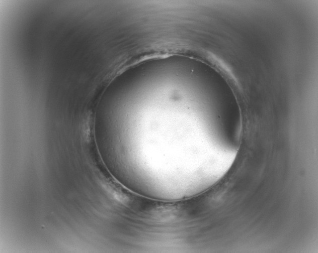 X0000069360065200605150927