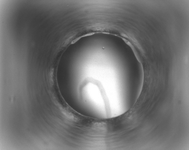 X0000069360066200605150927