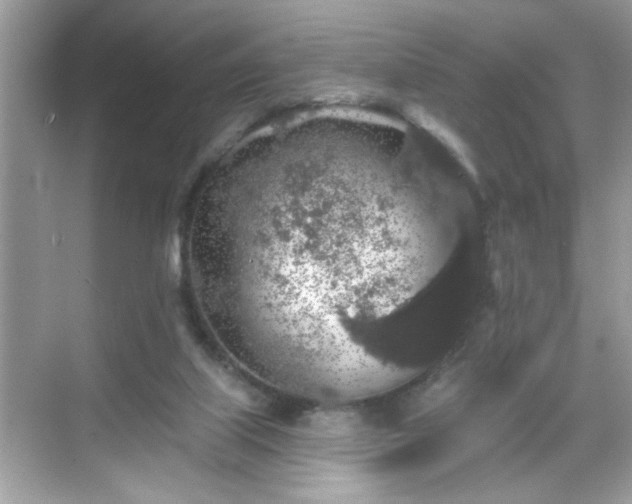 X0000069360067200605150927