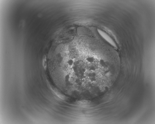 X0000069360069200605150927