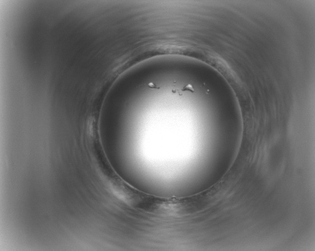 X0000069360071200605150927