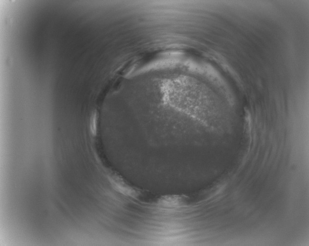 X0000069360076200605150927