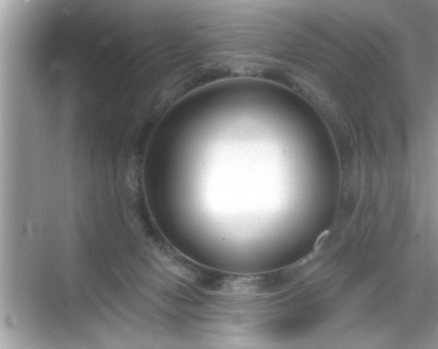 X0000069360078200605150927