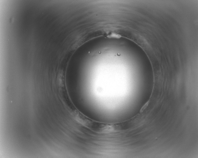 X0000069360083200605150927