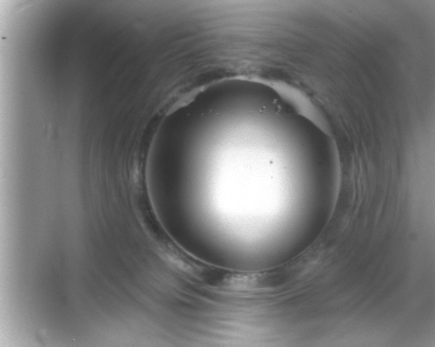 X0000069360084200605150927