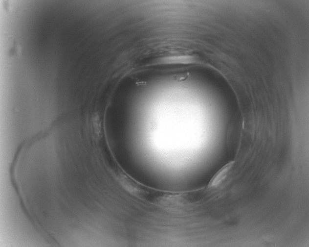 X0000069360086200605150927