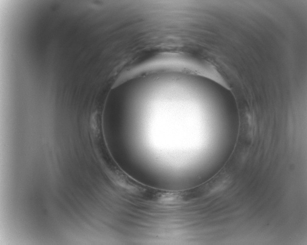 X0000069360088200605150927