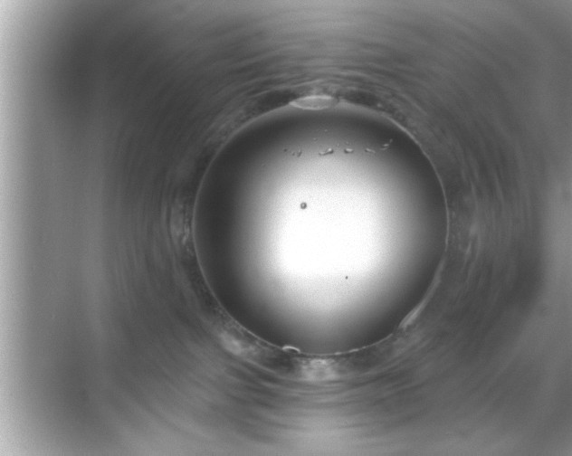 X0000069360091200605150927