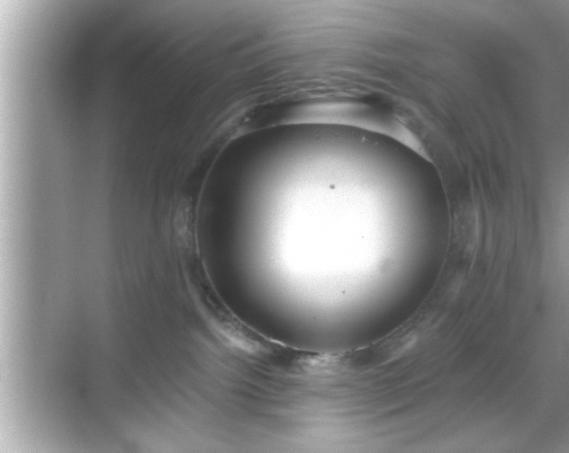 X0000069360092200605150928