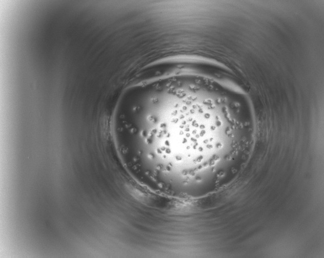 X0000069360093200605150928