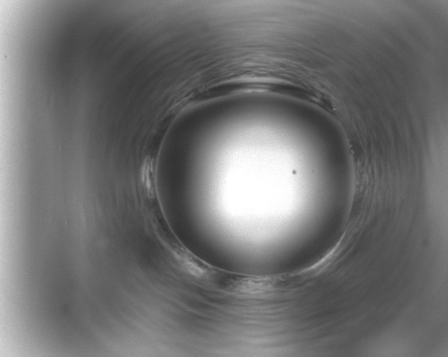 X0000069360094200605150928