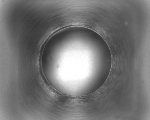 X0000069360098200605150927