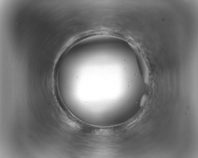 X0000069360102200605150927