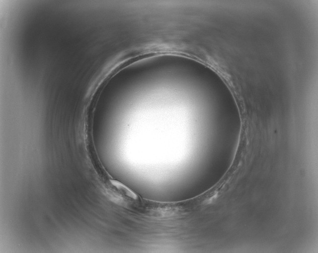 X0000069360103200605150927