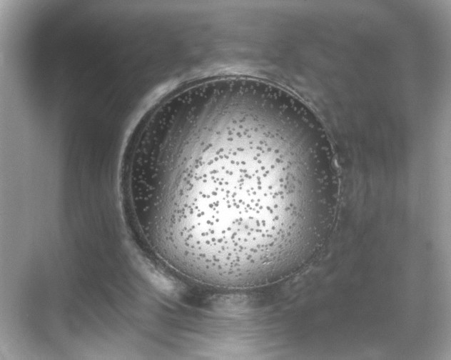 X0000069360104200605150927