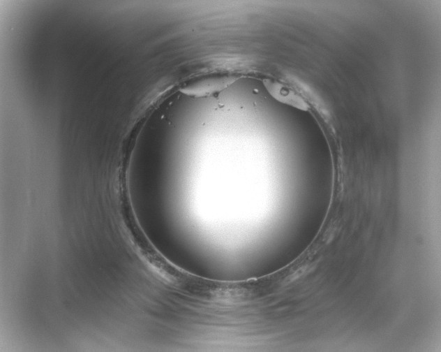 X0000069360105200605150927