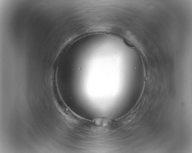 X0000069360107200605150927