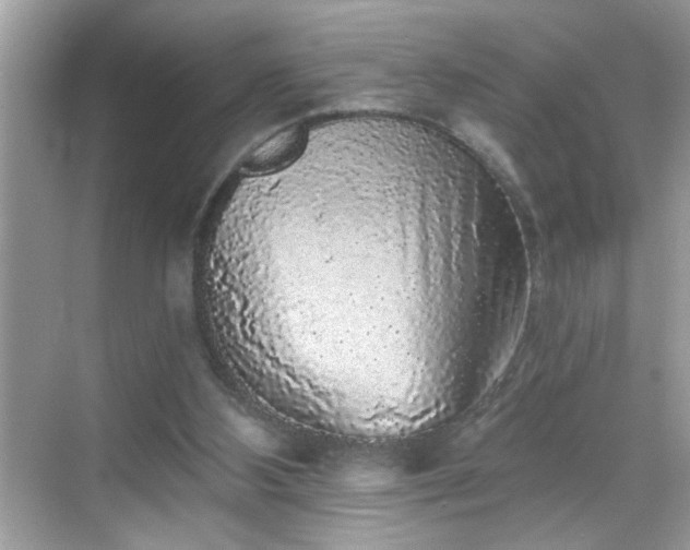 X0000069360108200605150927