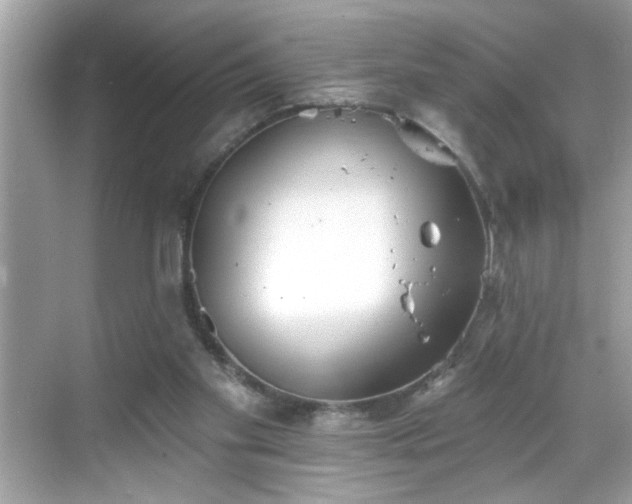 X0000069360109200605150927