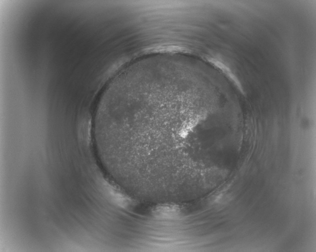 X0000069360110200605150927