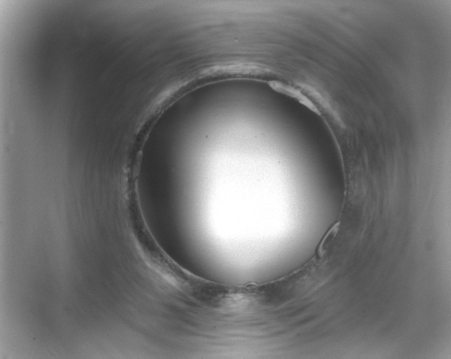 X0000069360111200605150927