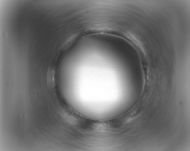 X0000069360115200605150926