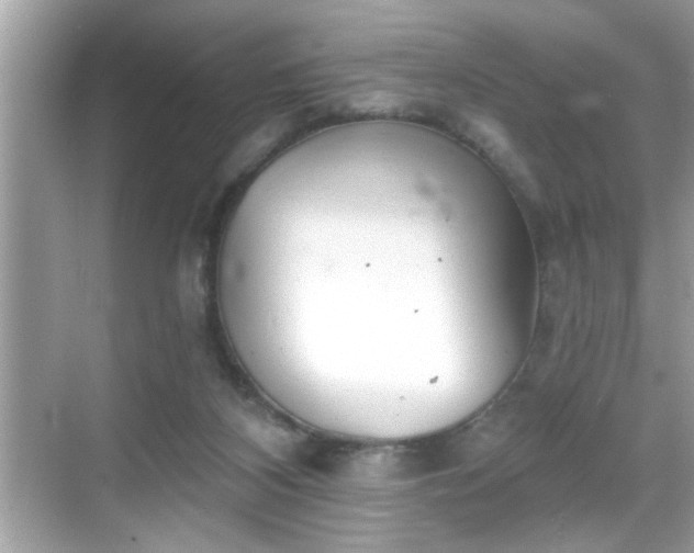 X0000069360116200605150926