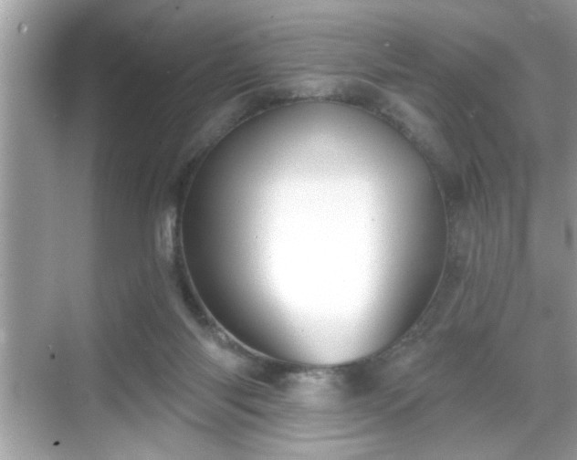 X0000069360118200605150926