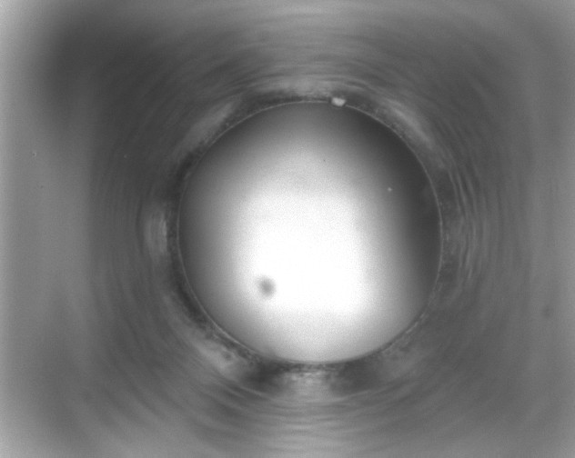 X0000069360120200605150926