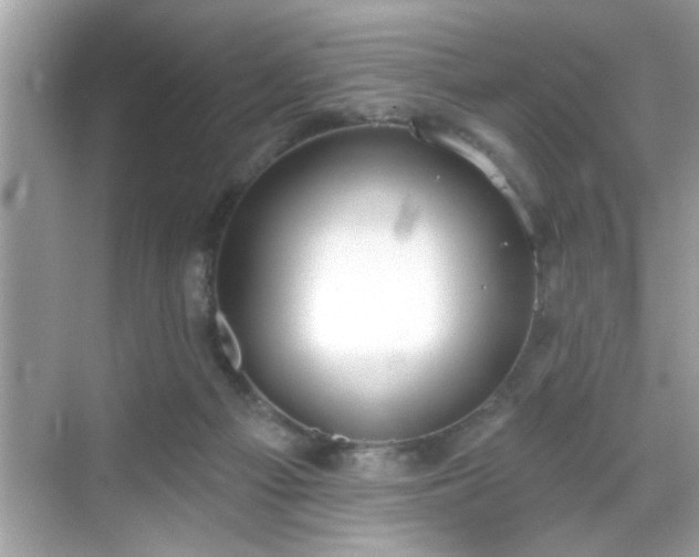 X0000069360121200605150926