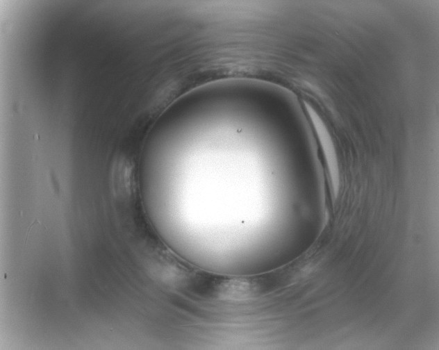 X0000069360123200605150926