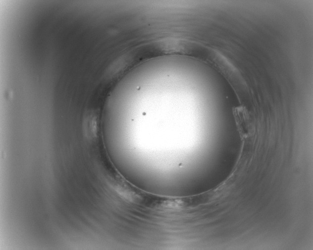 X0000069360124200605150926