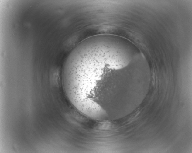 X0000069360127200605150926