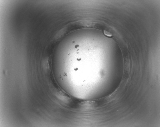 X0000069360128200605150926