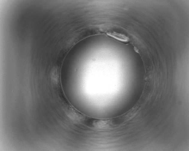 X0000069360129200605150926