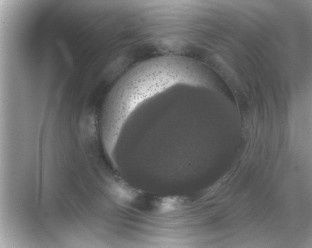 X0000069360130200605150926