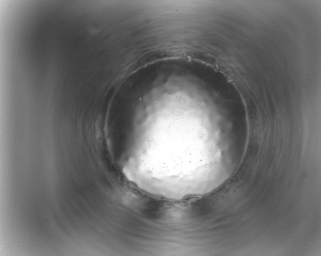 X0000069360131200605150926