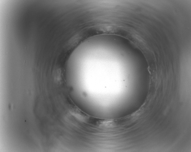 X0000069360132200605150926