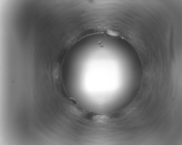 X0000069360133200605150926