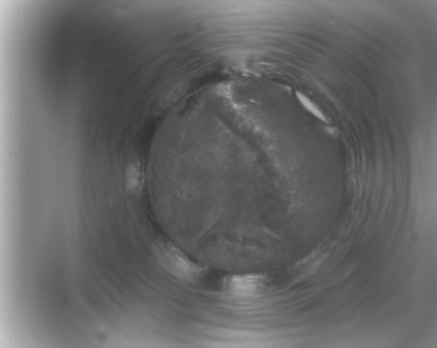 X0000069360134200605150926