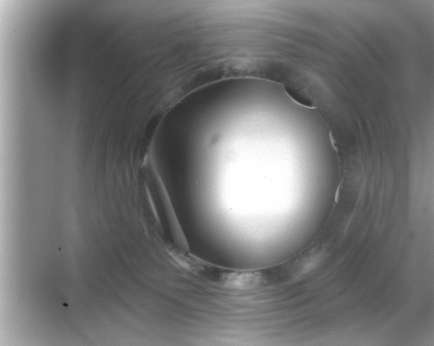 X0000069360135200605150926