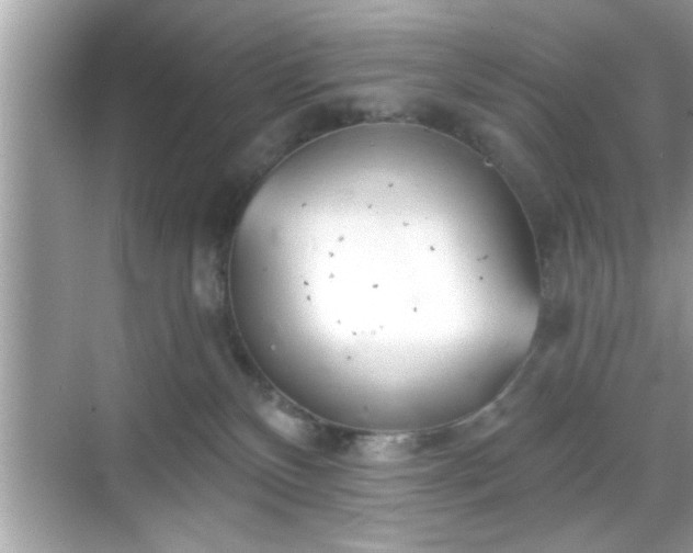 X0000069360136200605150926