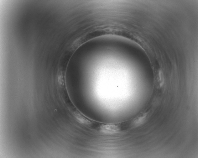 X0000069360137200605150926