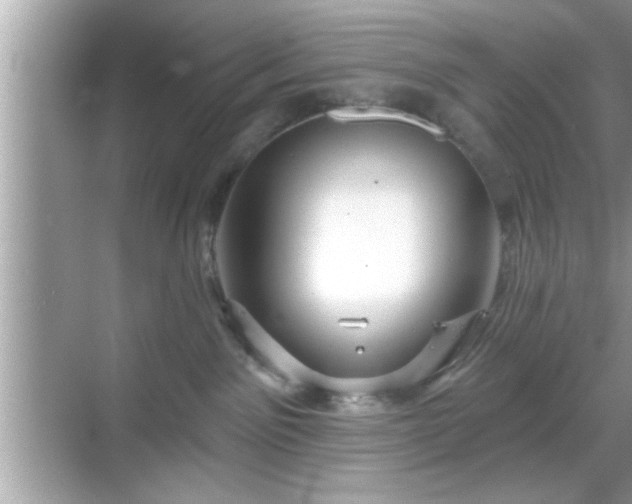 X0000069360141200605150926