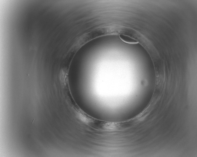 X0000069360142200605150926