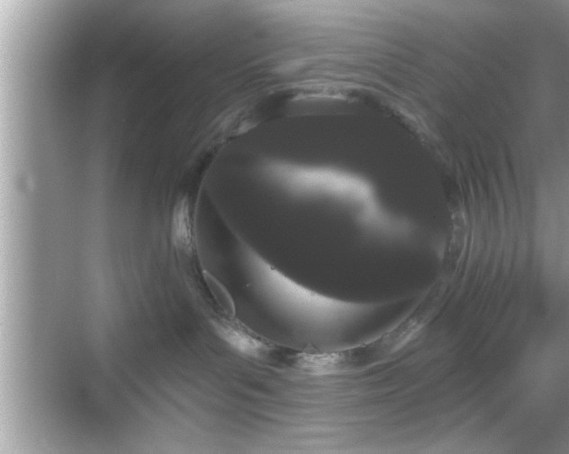 X0000069360143200605150926