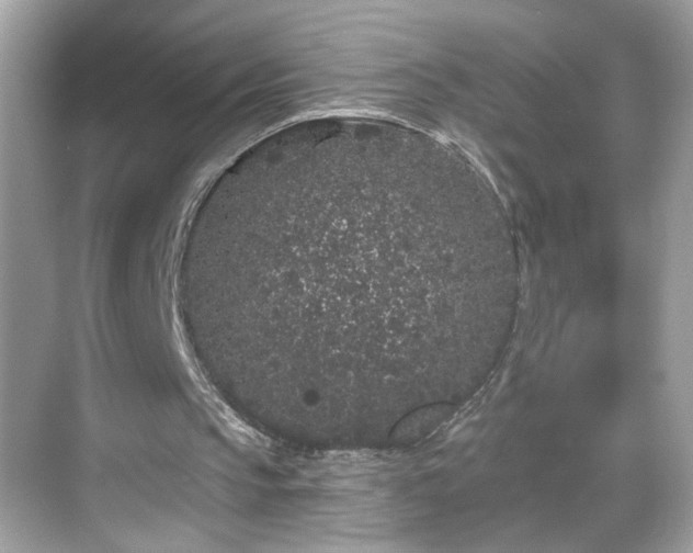 X0000069360145200605150925